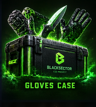 Gloves Case