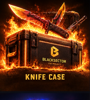Knife Case