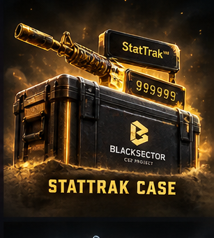 StatTrak Case